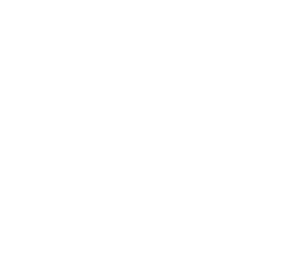 logoweiss-Kopie